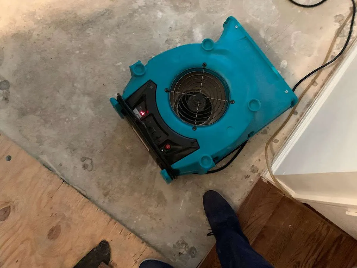 Air mover drying subfloor during Leak Detection & Repair in Lynnwood
